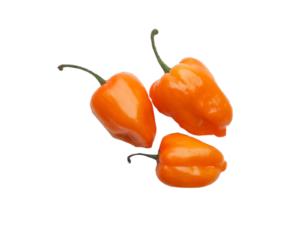 Chile habanero