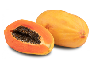 Papaya maradol