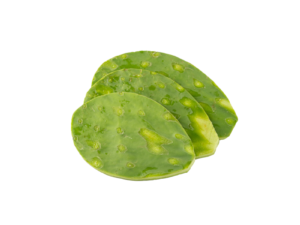 Nopal cambray