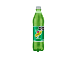 Ginger Ale 600ml Schweppes