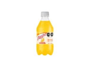 Peñafiel Naranjada 355ml