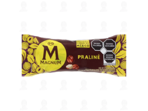 Paleta Praline 90ml Magnum